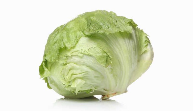 Young Cabbage