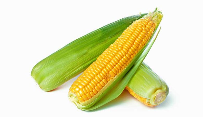 Baby Corn